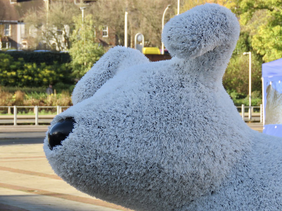 Candy Cane Snowdog has been painted as a delicious Christmas treat, while Roodle is a cross between a Golden Retriever and a Poodle! 🐶 <a href="/SnowdogArtTrail/">Snowdog Art Trails</a> <a href="/TheSnowmanHQ/">The Snowman</a> <a href="/HemelBID/">HemelHempsteadBID</a> #Snowdog #TheSnowman