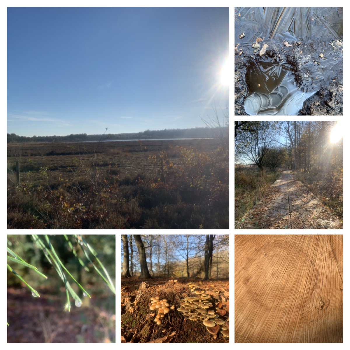 Weer even wennen aan de vrieskou. Lekker hoofd leeg gelopen rondom Elperstroom en de Tweelingen #Drenthe