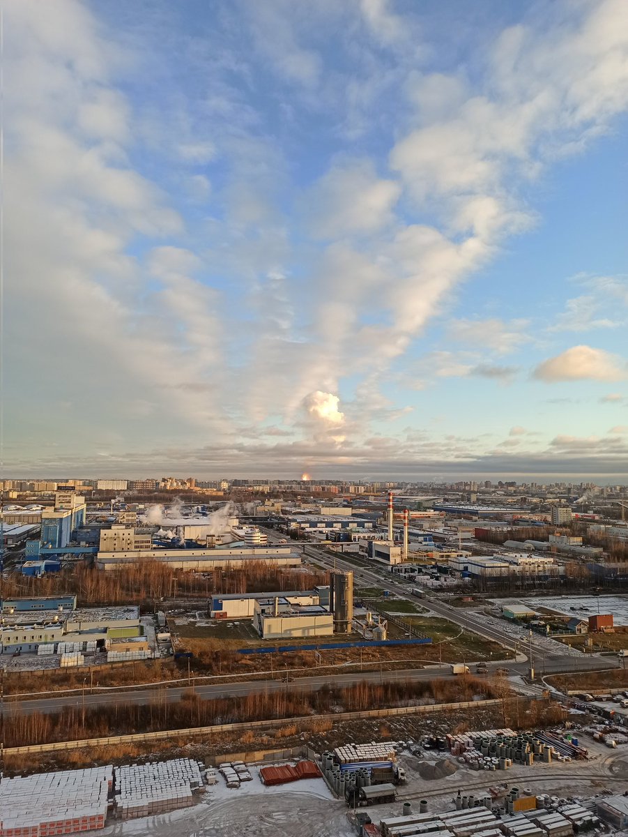 каркадель tweet media