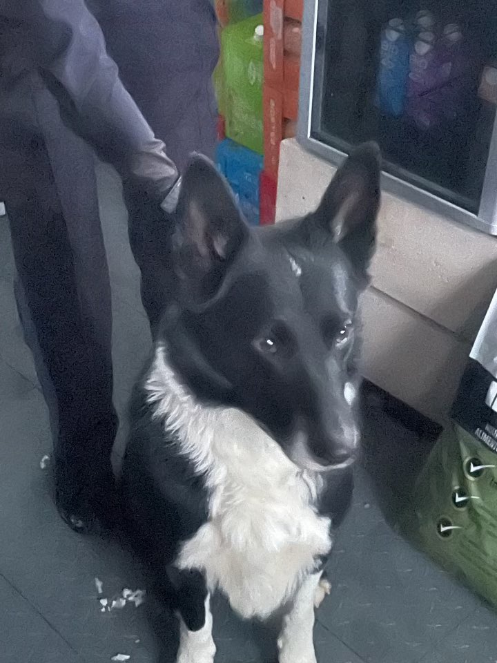 OPP Central Region tweet media