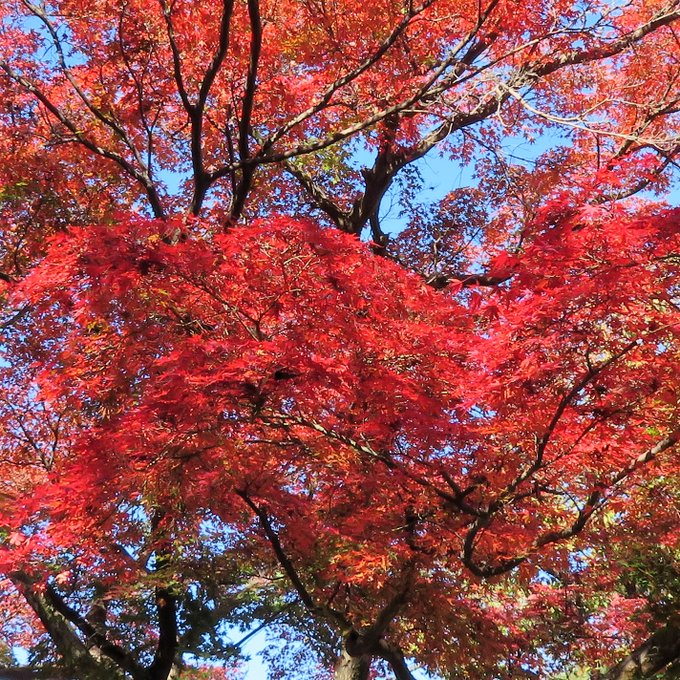 september (@bitcoinsep) on Twitter photo 