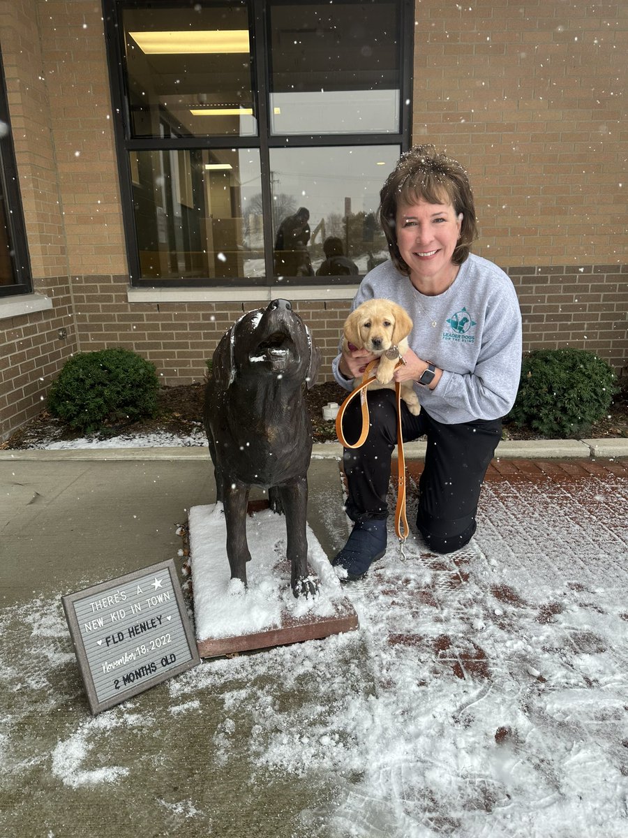 vball_crazy's tweet photo. “There’s a new kid in town” 🎼  Welcome FLD Henley!  In keeping with our music themed names, she’s named for The Eagles, one of my favorite bands.  She’s a tiny tot at less than 11 pounds 💗🦮🐾 
We are ready for “life in the fast lane” with FLD puppy #3! https://t.co/BMRMZLyin2