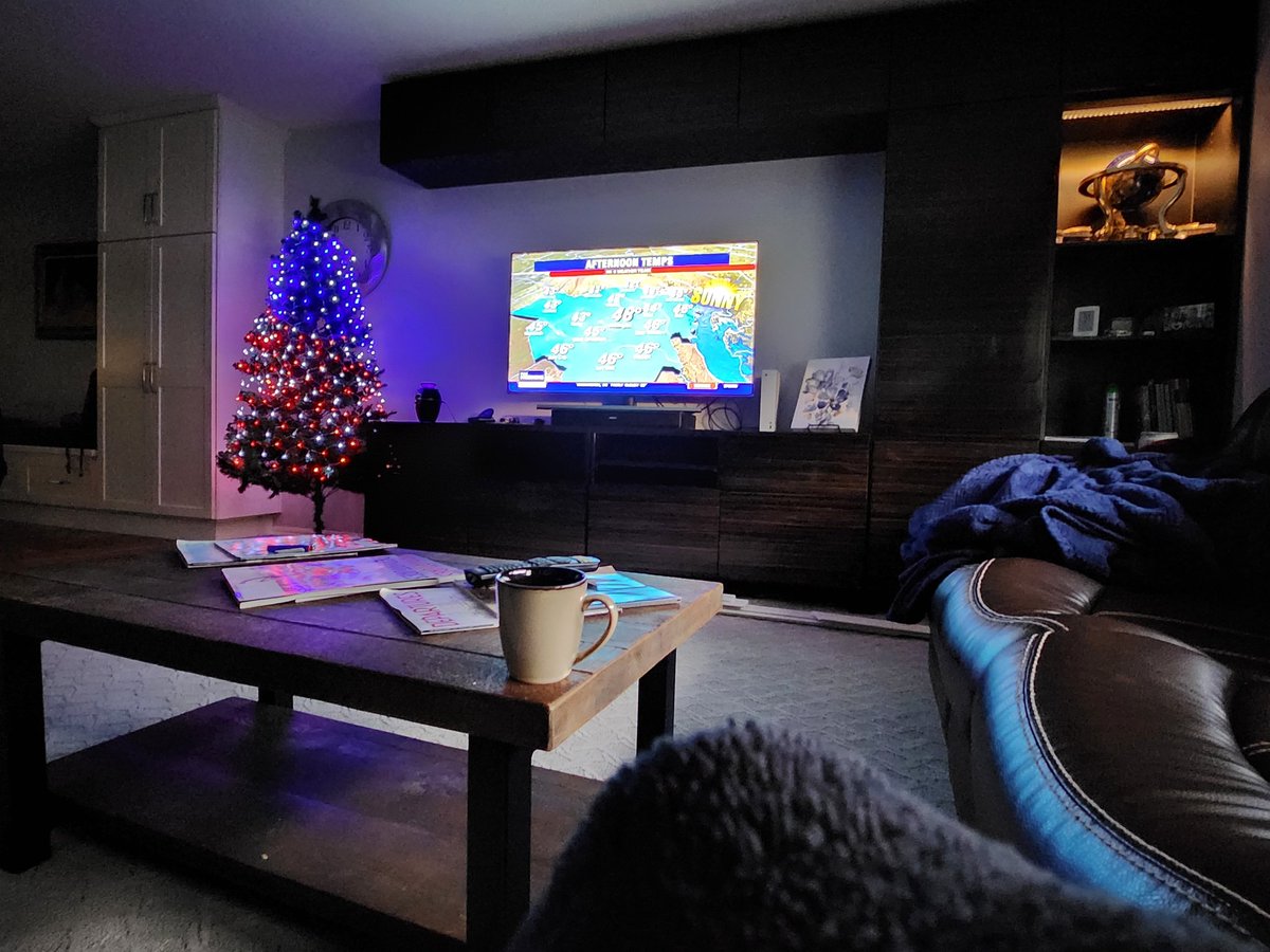 scottmcquinn1's tweet photo. @JaniceDean No snow but I have a patriotic Xmas tree. GO USA #FIFAWorldCup https://t.co/UYKfLmqa91