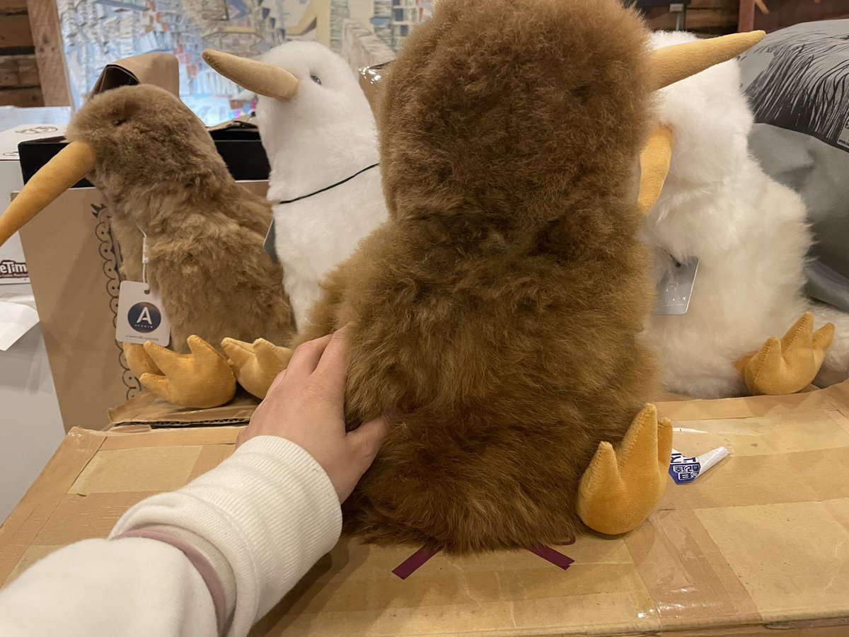 ベビーアルパカ毛ぬいぐるみ(キウイ) アルパカ・ワカイヤ毛のぬいぐるみ (キウイ） – アオテアナチュラル