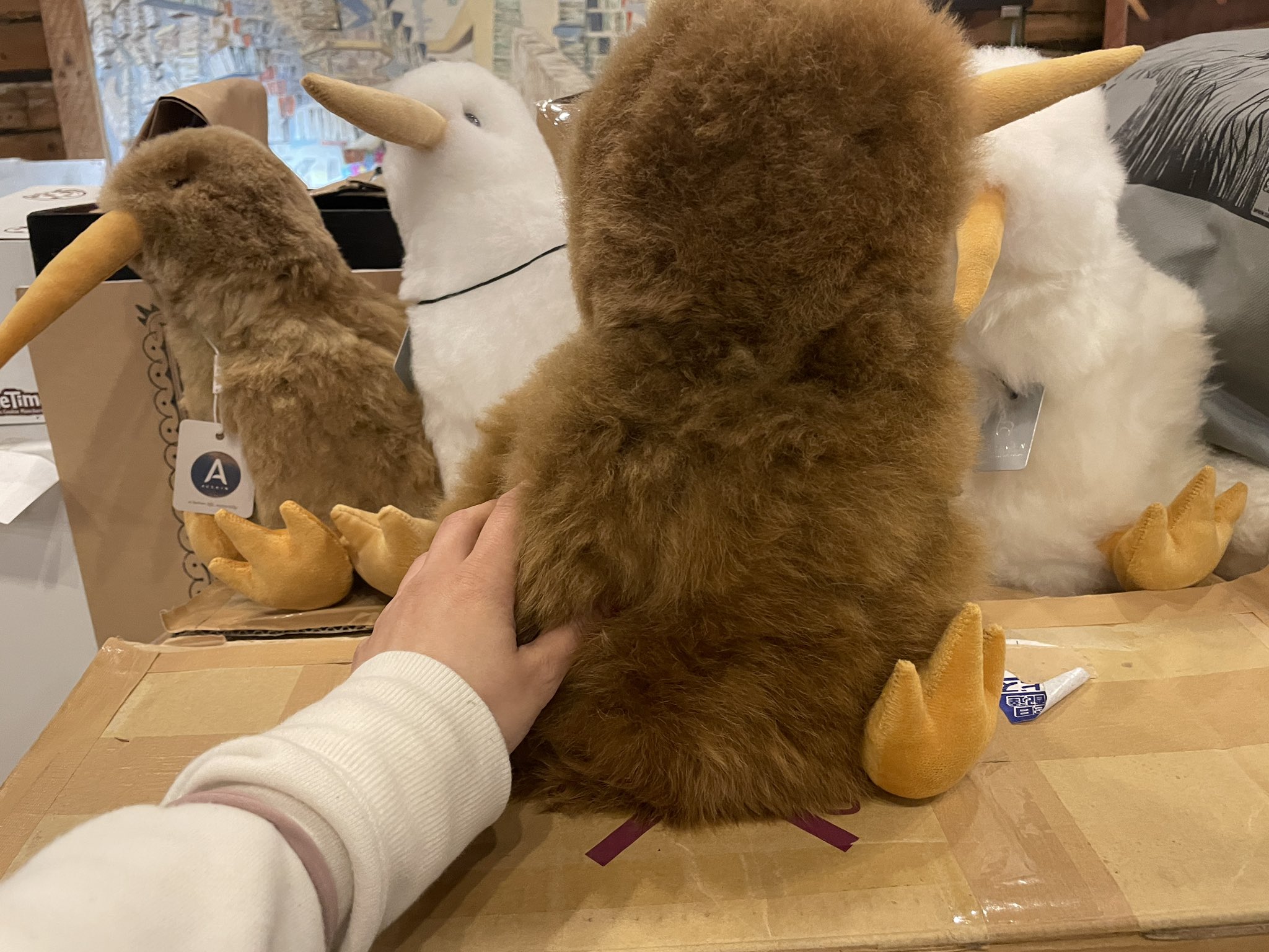 アルパカ・ワカイヤ毛のぬいぐるみ (キウイ） – アオテアナチュラル