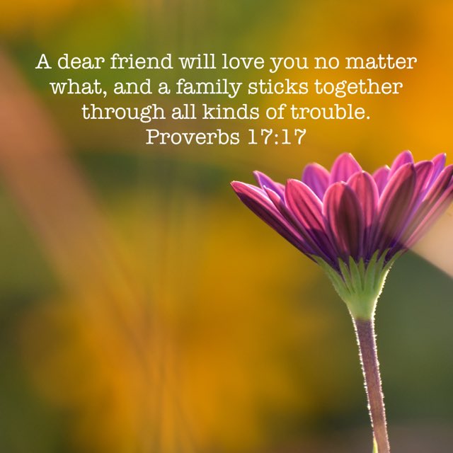 bible.com/bible/1849/pro…