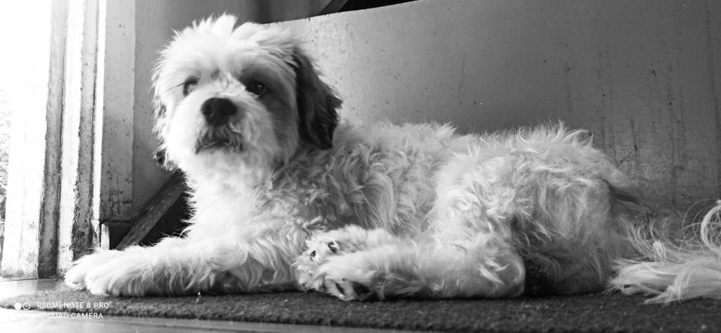 runner2274's tweet image. Why is you takin me picture?