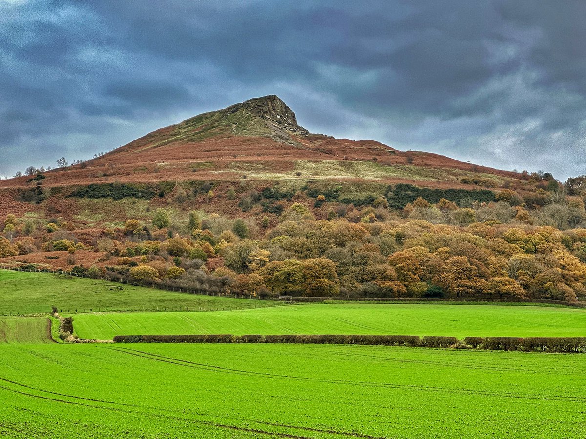 #Autumn #Roseberrytopping