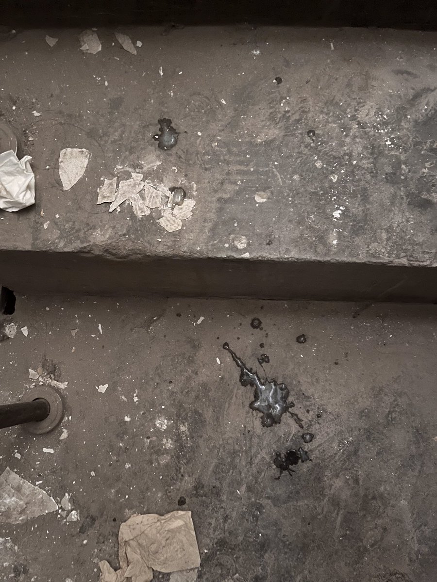 Alk (@alkaid36785168) on Twitter photo 