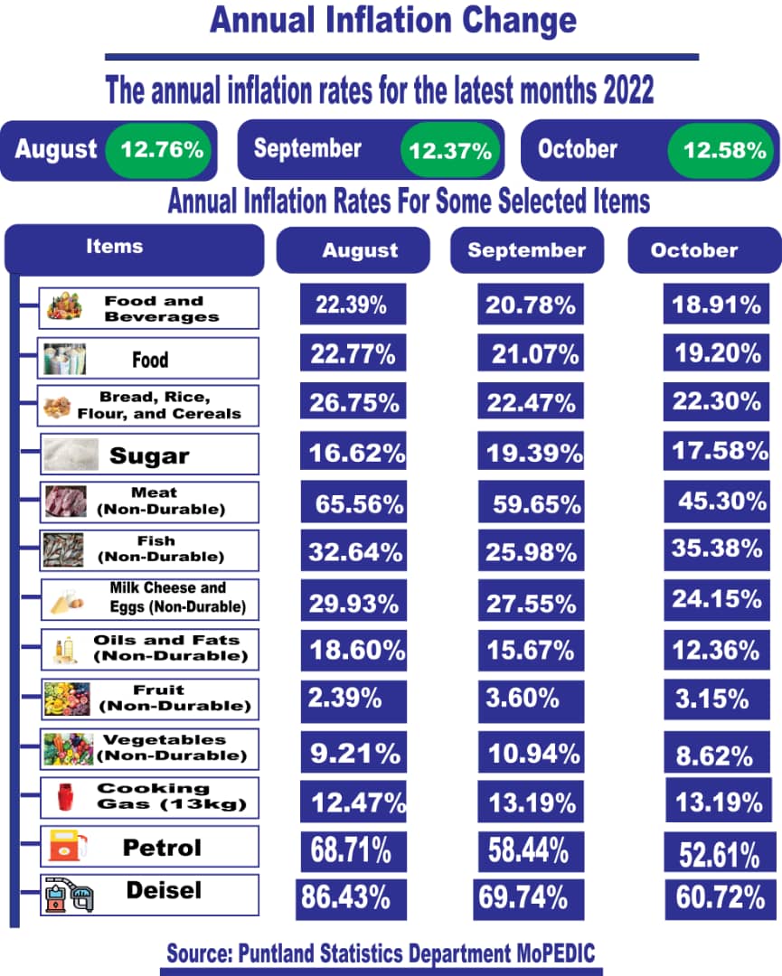Puntland Statistics Department tweet media