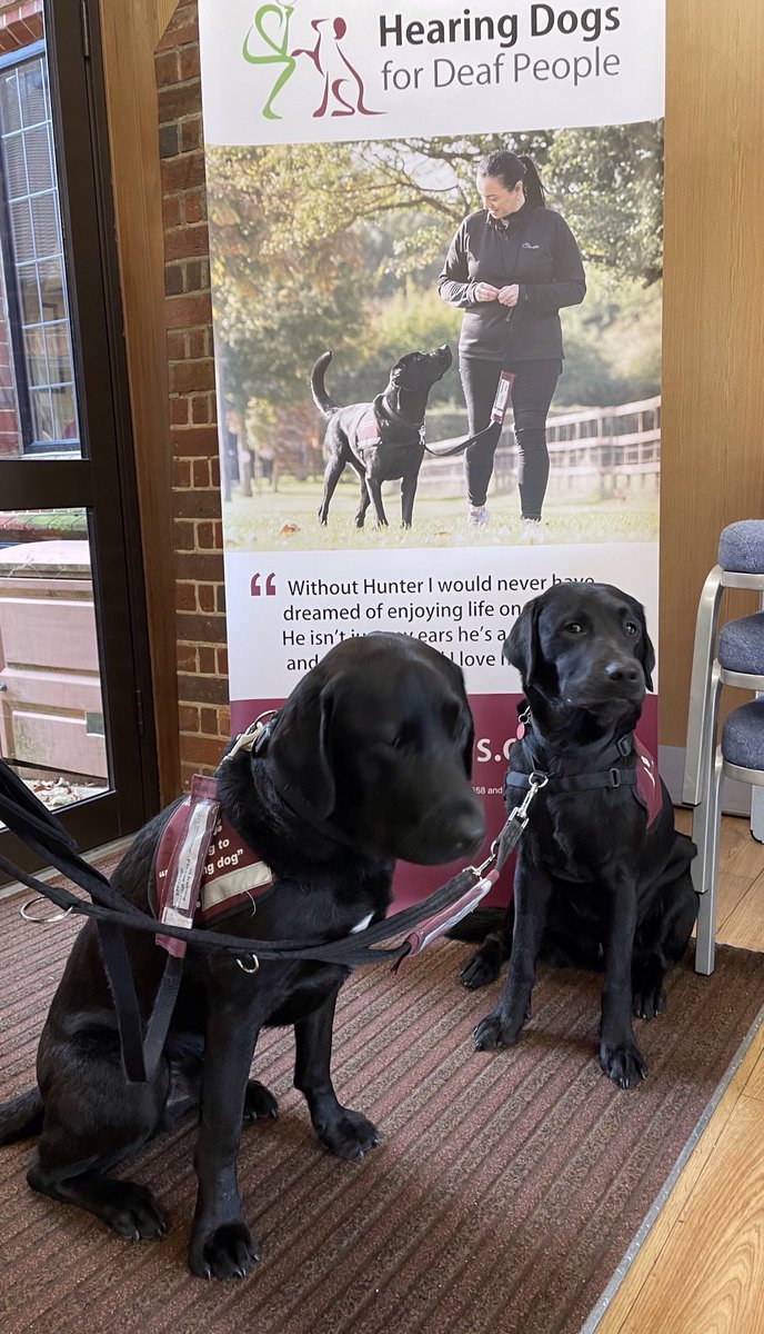 ⁦<a href="/HearingDogs/">Hearing Dogs for Deaf People</a>⁩ spreading the word at Christ Church Flackwell Heath Christmas Fayre ⁦<a href="/VolTeamHDogs/">Volunteering H-Dogs</a>⁩