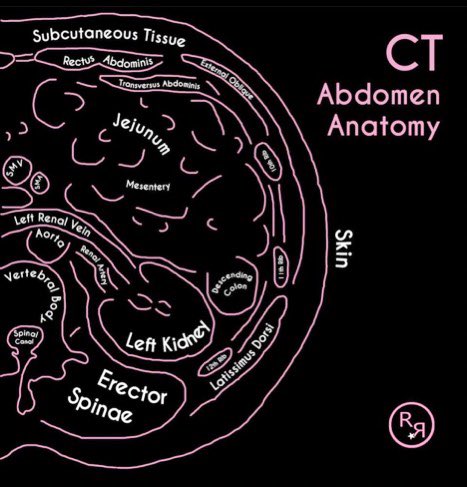 Paul Wischmeyer MD tweet media