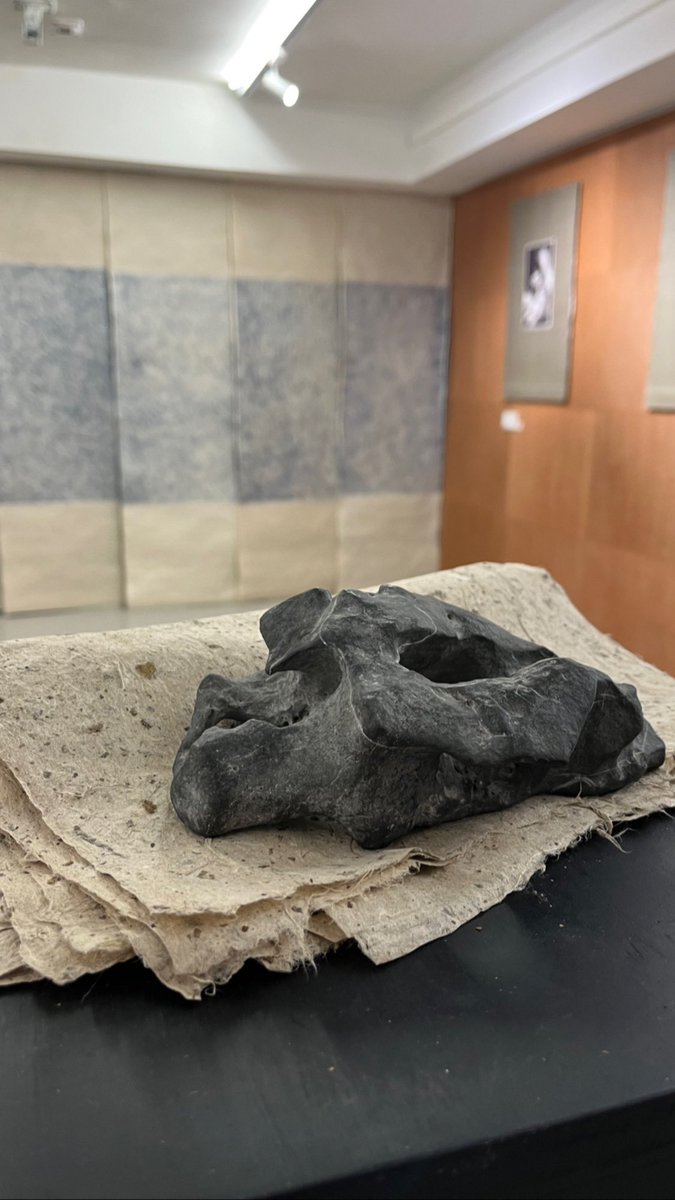 DaveMathSin's tweet image. 石不能言
估你唔到係攝影作品