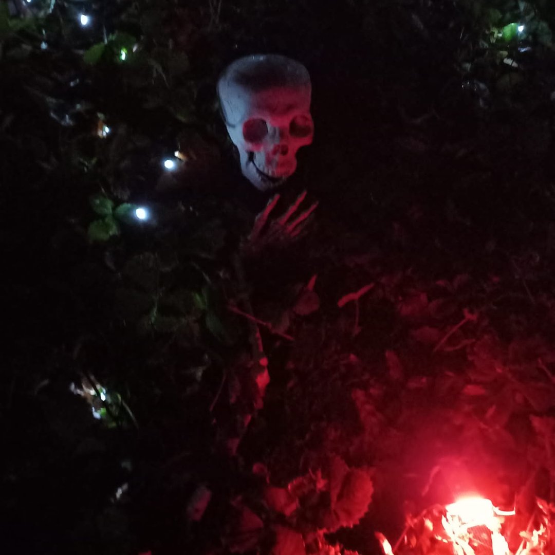 VandeleurWG's tweet photo. Throwback to our spooky trail earlier this month. Thanks again to all who joined us on the night! 👻
#halloweenclare #visitclare #eventireland #eventclare #fancydress #ireland #trickortreat #spookytrail #halloween #happyhalloween #kilrush #clare https://t.co/y8LLJkWE9v