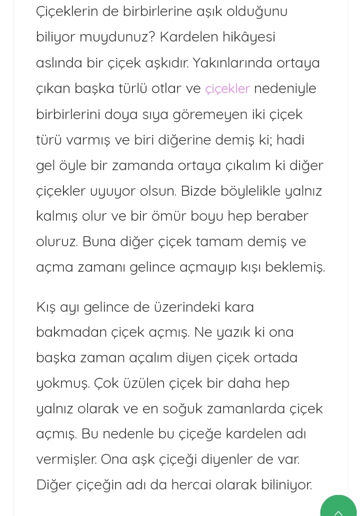 En sevdiğim çiçek yoktu ama artık var