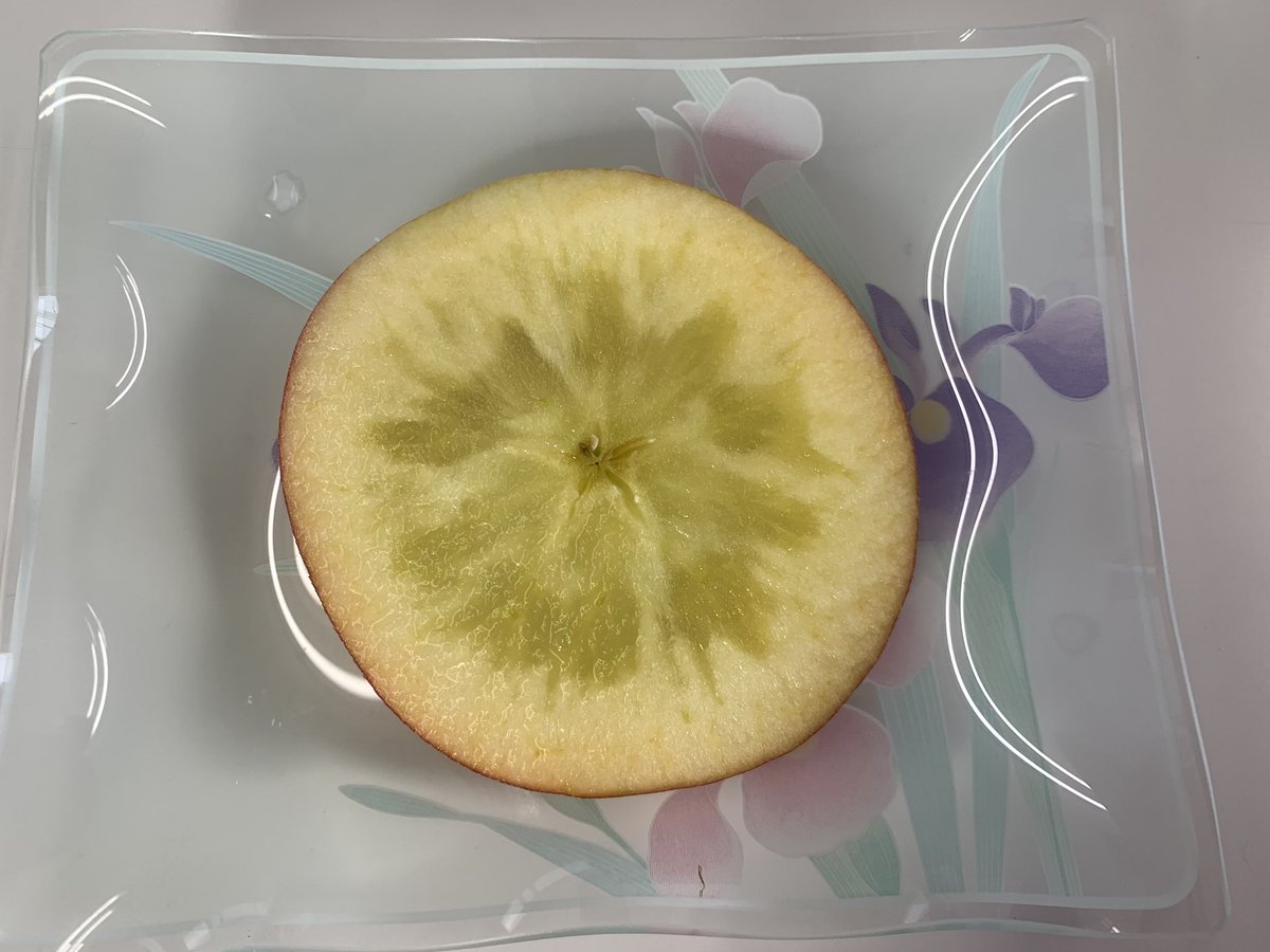 sachik345's tweet photo. 蜜いっぱい🍎 #福島のリンゴ https://t.co/5CxcaFdd0V