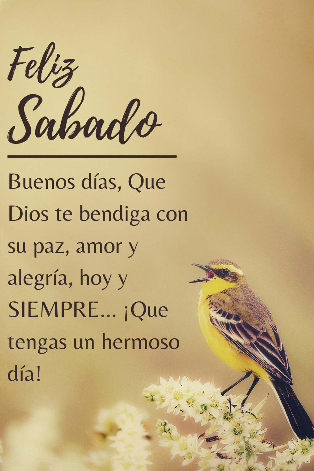Dayana on Twitter: Dayana on Twitter: