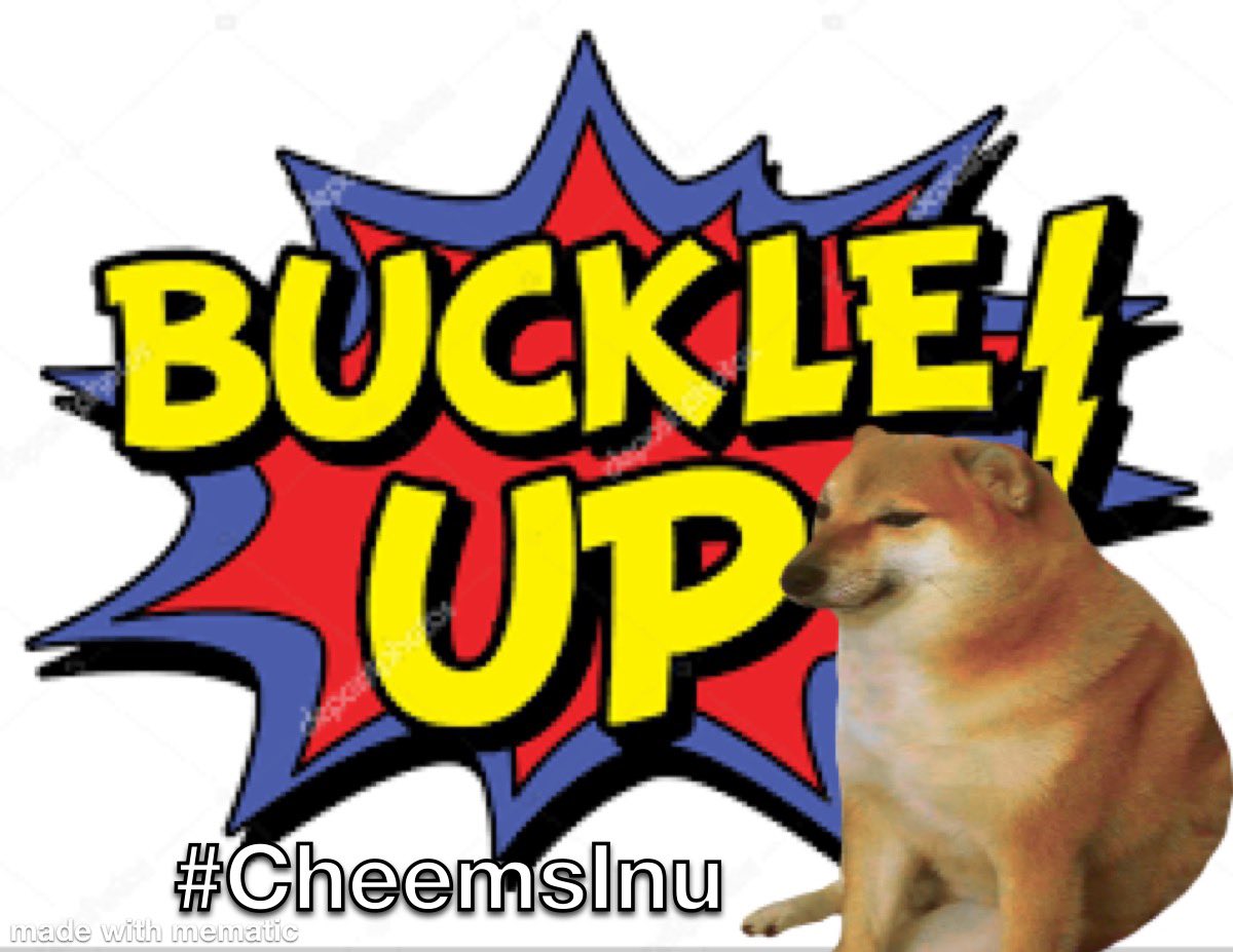 🎉🎉🎉🎉 HAPPY BIRTHDAY #CheemsInu 🎉🎉🎉🎉 The next year is going to be full of explosive growth!!!  Can’t wait to witness it!😎📈 #1000x #anniversary #Bullish #DeFi