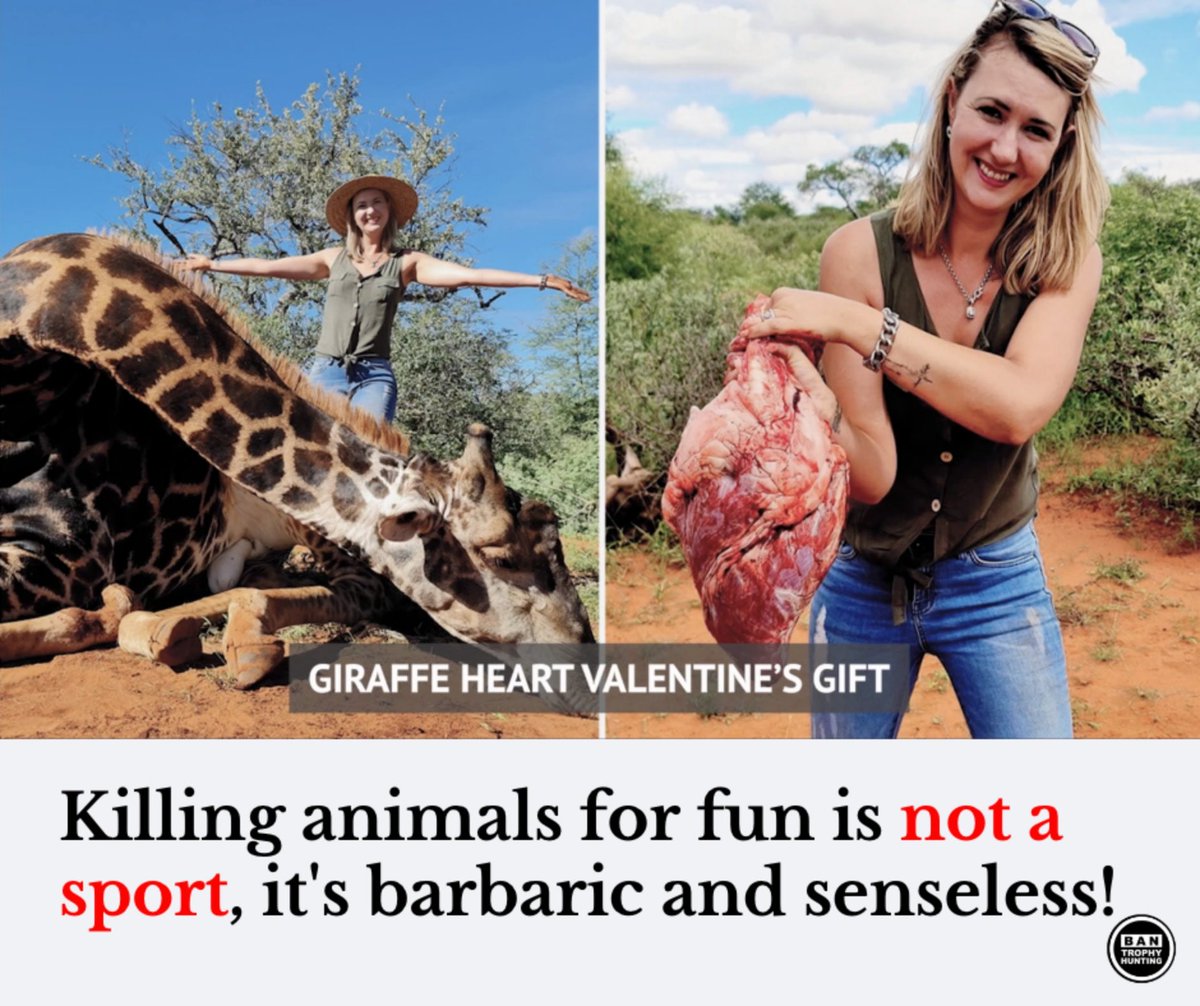 CBTHunting's tweet photo. RT if you agree.🦒

#BanTrophyHunting https://t.co/5SzStAsyDq