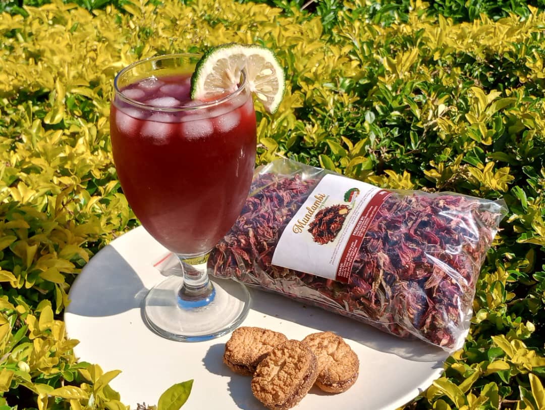 Namfumu Conservation Trust (@namfumut) on Twitter photo Heat Buster..Ice cold Mundambi Tonic sweetened with raw Miombo honey... Very refreshing & rejuvenating on a hot summer's day. Make your own to your own taste. Buy the flowers for K50 now. family tonic 🍃🌳🇿🇲✨🍹 <a href="/HHichilema/">Hakainde Hichilema</a> <a href="/COMESABusiness/">COMESABusinessCouncil</a> <a href="/FoodRenegade/">FoodRenegade</a> <a href="/FAOZambia/">FAO Zambia</a> <a href="/USAID/">USAID</a> <a href="/UPNDZM/">UPND</a> Heat Buster..Ice cold Mundambi Tonic sweetened with raw Miombo honey... Very refreshing & rejuvenating on a hot summer's day. Make your own to your own taste. Buy the flowers for K50 now. family tonic 🍃🌳🇿🇲✨🍹 <a href="/HHichilema/">Hakainde Hichilema</a> <a href="/COMESABusiness/">COMESABusinessCouncil</a> <a href="/FoodRenegade/">FoodRenegade</a> <a href="/FAOZambia/">FAO Zambia</a> <a href="/USAID/">USAID</a> <a href="/UPNDZM/">UPND</a>