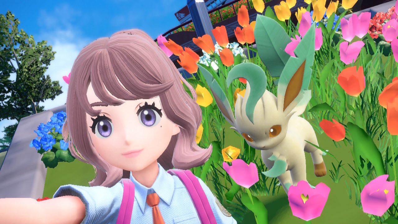 تويتر イーブイ進化 بحث تويتر