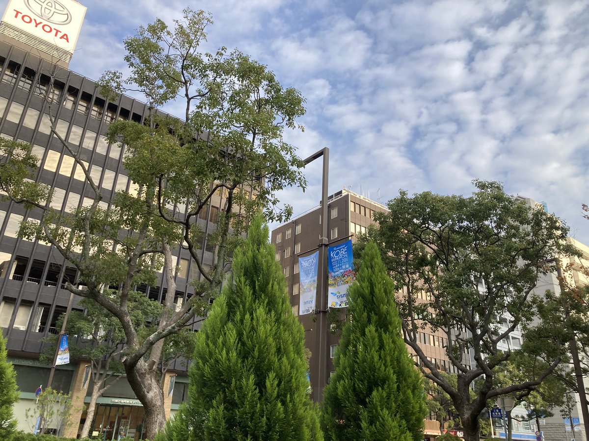 明日は神戸マラソン
故障明けで記録を狙える状態にはありませんが、せっかくのSブロック、楽しみます✨
明日はたくさんのラン友さんにお会いできるのを楽しみにしています😊