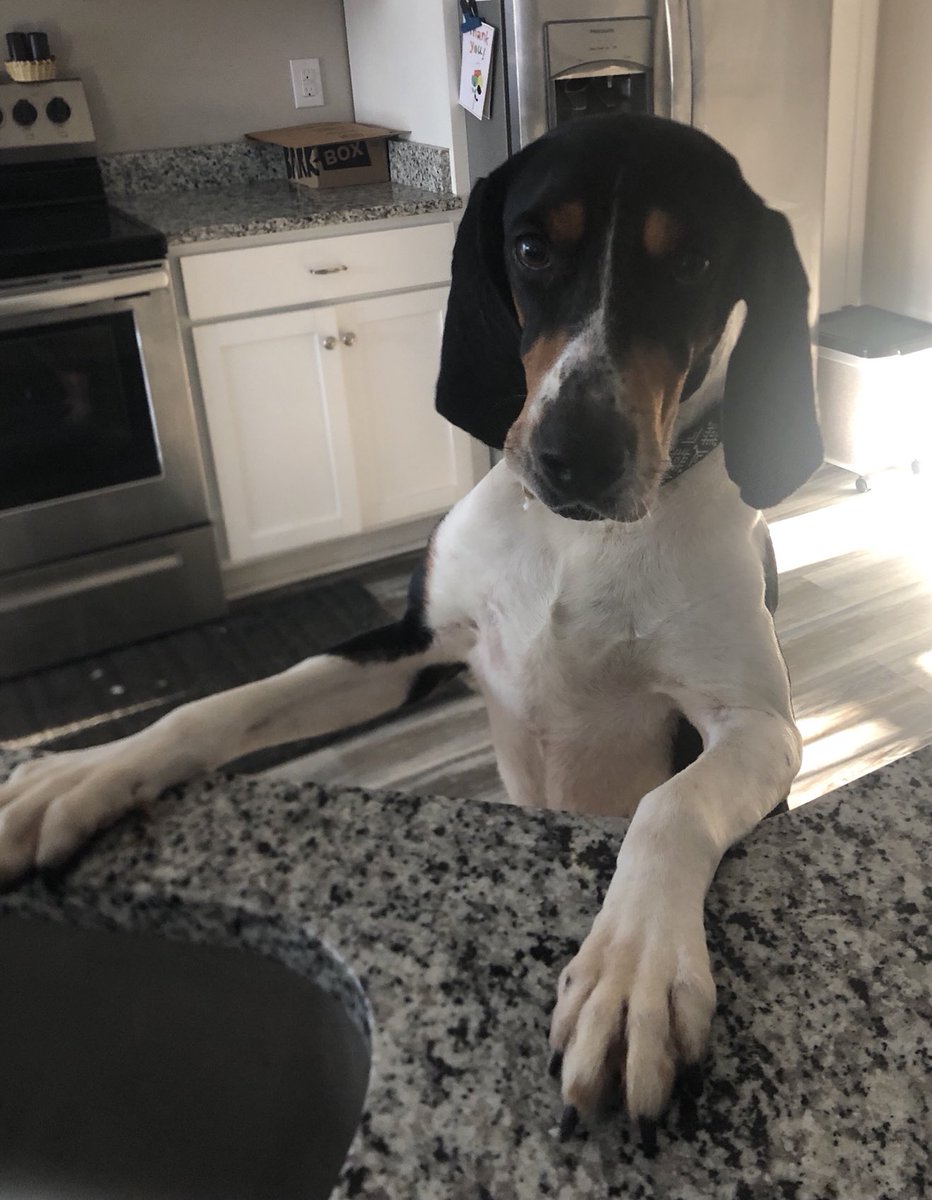 Pals!!!
Snoop offered to make us breakfast!!!
Mom says “Snoop down!”
I said “Bacon n eggs please!”