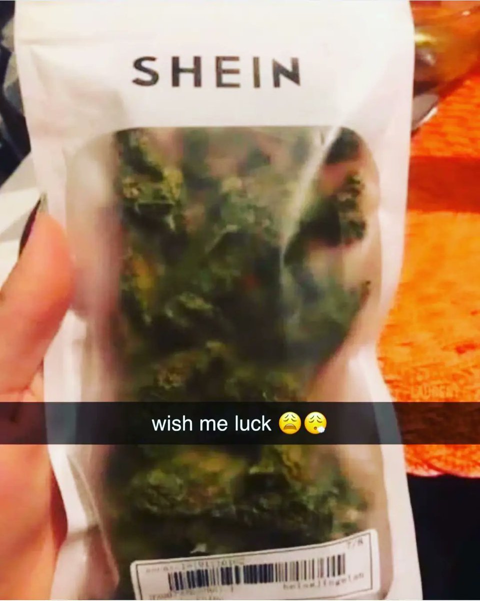 Memory (@planckseye) on Twitter photo 