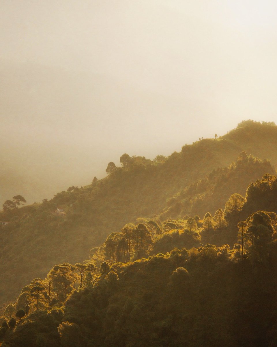 #Warm and misty #mornings in the #Shivaliks.

🌄

#landscapephotography #naturephotography #himalayas #mountains #warmtones #photography #twitternaturecommunity #indiaves @incredibleindia @moefcc #uttarakhand #uttarakhandtourism @UTDBofficial
