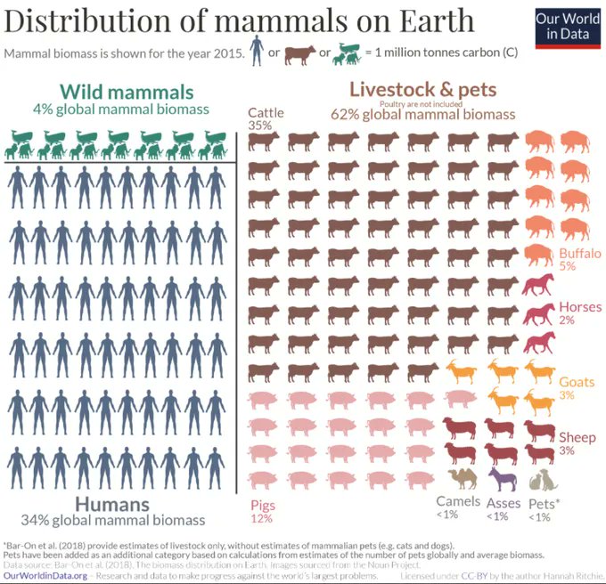 This is what a world out of balance looks like. No wonder we have converging crises of biodiversity, fresh water, and climate. When we destroy nature we destroy ourselves.

There is no planet B. #ActOnClimate 

#ClimateEmergency #climate #energy #biodversity #rewilding