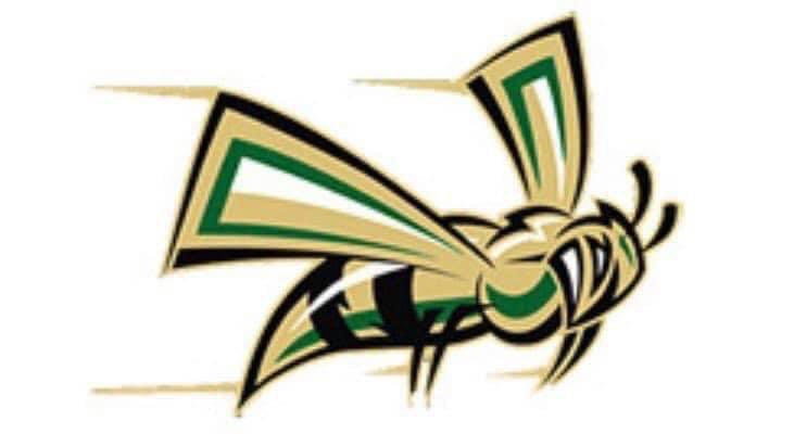 will_schilling's tweet photo. Fire Up Hornets, Itβs Causeway Saturday!!!
#StingersUp #BeatDavis https://t.co/wVOIsDeVuM