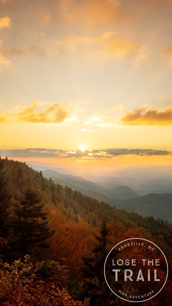 losethetrail's tweet photo. “Fall has always been my favorite season. The time when everything bursts with its last beauty, as if nature had been saving up all year for the grand finale.”

This image is available for purchase at https://t.co/X4FdBzC9BG

#losethetrail #blueridgeparkway #blueridgemoments https://t.co/t3jf8Y3GYJ