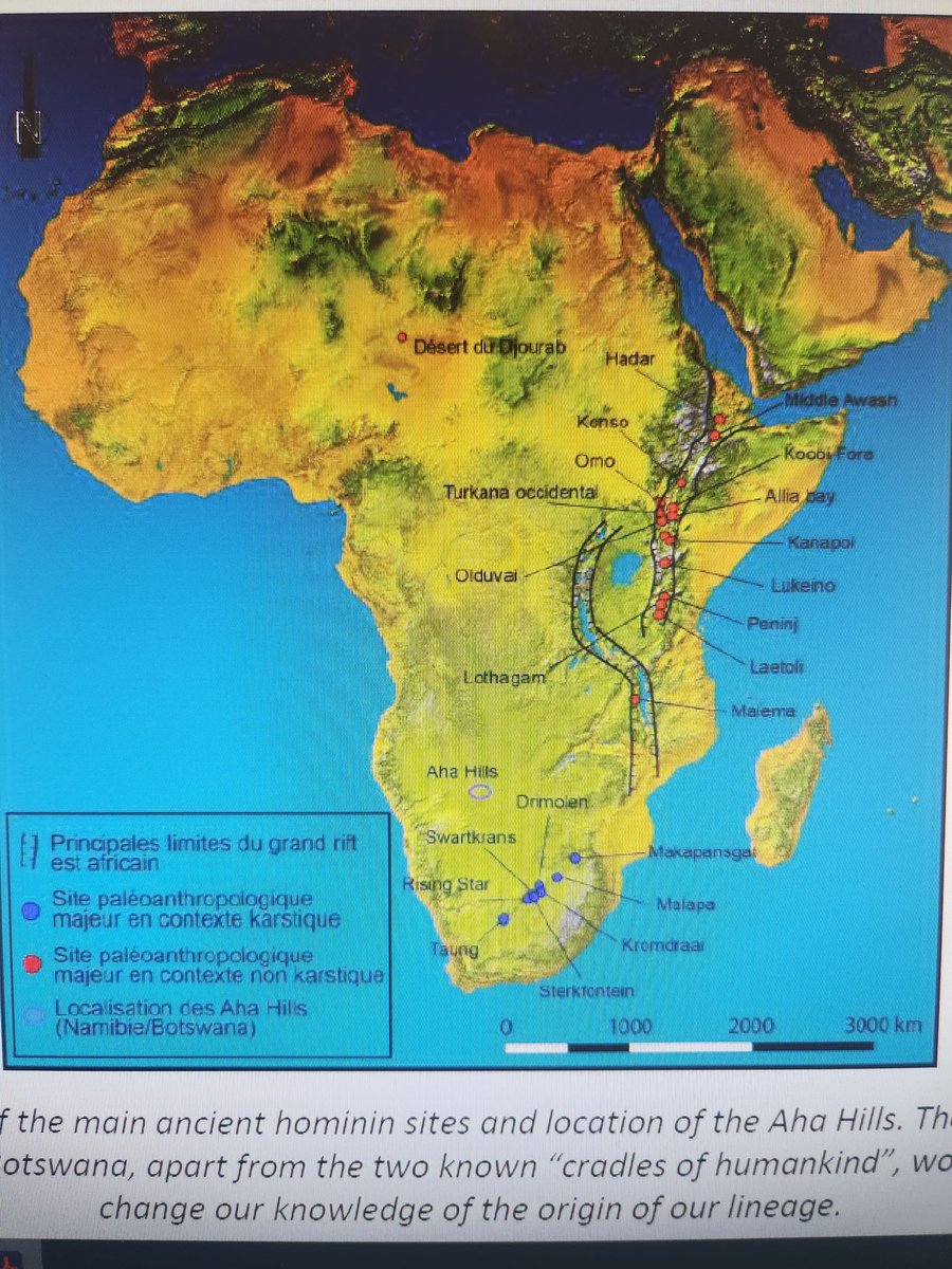 Brochenin Olivier (@o_brochenin) on Twitter photo Institutes "des déserts et steppes" and "human and karst" search the origins of human kind : #Botswana gathers conditions. 🇧🇼🇫🇷scientists in the lab of the national museum in #Gaborone.
<a href="/CNRS/">CNRS 🌍</a> @laurentbruxelles <a href="/umr5608_traces/">TRACES labo d'archéo SUSPENDU🦋</a> <a href="/CNRSinSthAfrica/">CNRS in Southern Africa</a> <a href="/IFAS_Research/">IFAS-Research</a> <a href="/UTJeanJaures/">UT Jean Jaurès</a> Institutes "des déserts et steppes" and "human and karst" search the origins of human kind : #Botswana gathers conditions. 🇧🇼🇫🇷scientists in the lab of the national museum in #Gaborone.
<a href="/CNRS/">CNRS 🌍</a> @laurentbruxelles <a href="/umr5608_traces/">TRACES labo d'archéo SUSPENDU🦋</a> <a href="/CNRSinSthAfrica/">CNRS in Southern Africa</a> <a href="/IFAS_Research/">IFAS-Research</a> <a href="/UTJeanJaures/">UT Jean Jaurès</a>