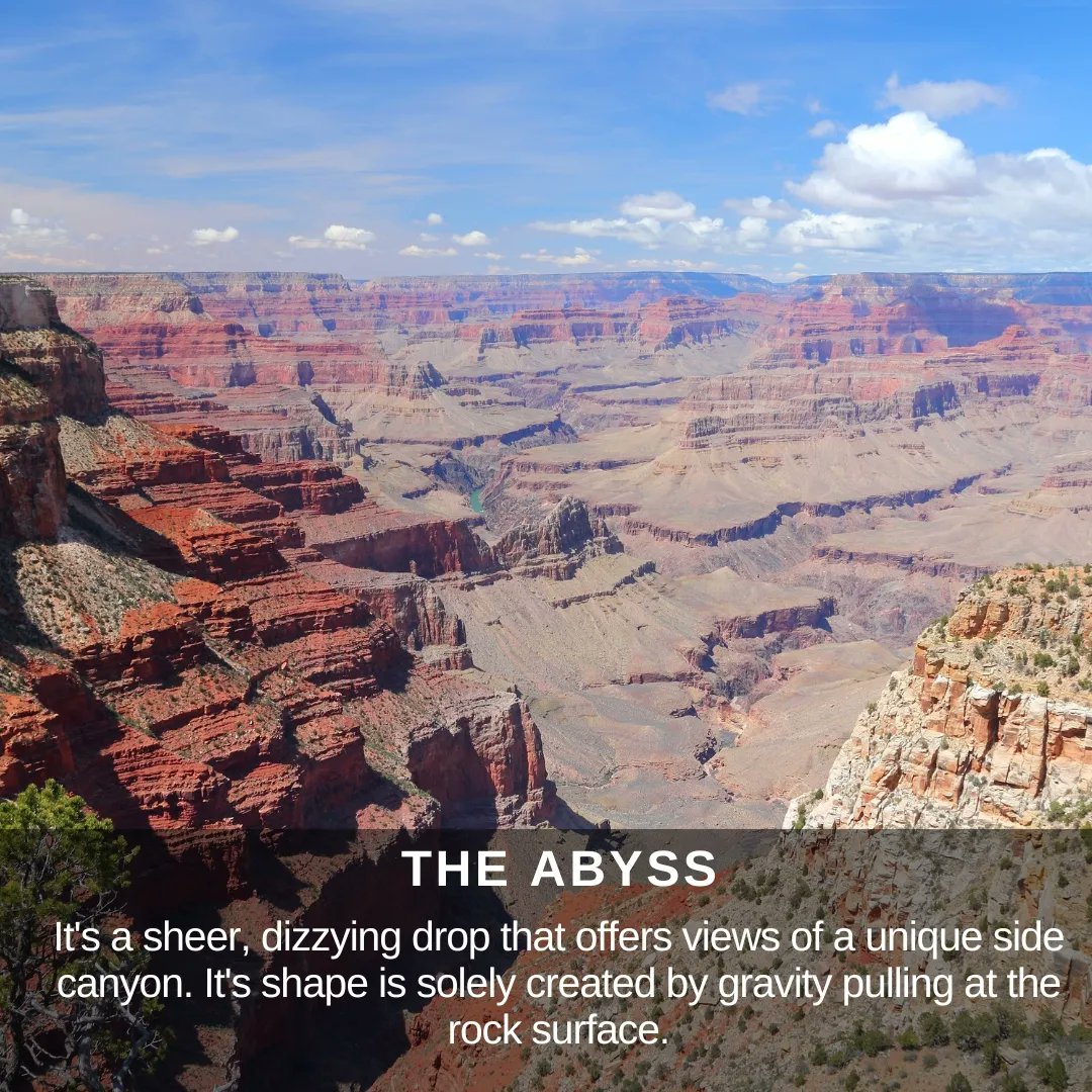 actiontourguide's tweet photo. Witness one of the world's natural wonders in all its splendor. The Grand Canyon is so huge and awe-inspiring that you must see it with your own two eyes to really understand its vastnes.
#grandcanyon #arizona #explorearizona
#mather #abyss #desertviewwatchtower # https://t.co/zL5IRqsxcu