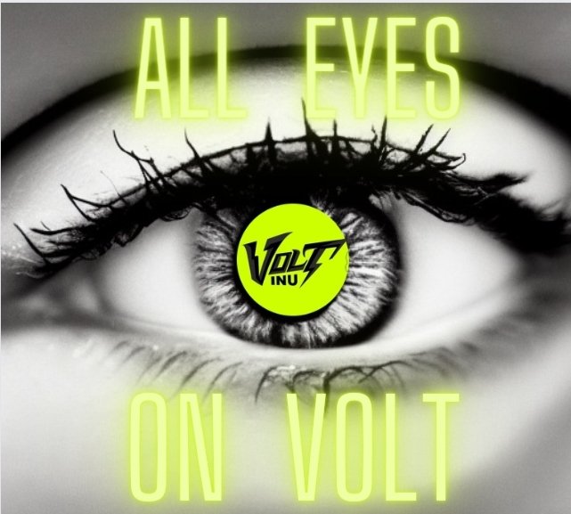 april6968's tweet photo. #VOLT Is About to Launch #Voltichange and If Your Still On The Sideline Watching, It's Not To Late! "Join Now Or Cry Later" 
⚡️Why Watch Others Get Wealthy⚡️ 
@VoltInuOfficial 
@april6968 https://t.co/OtVyP4PzQr