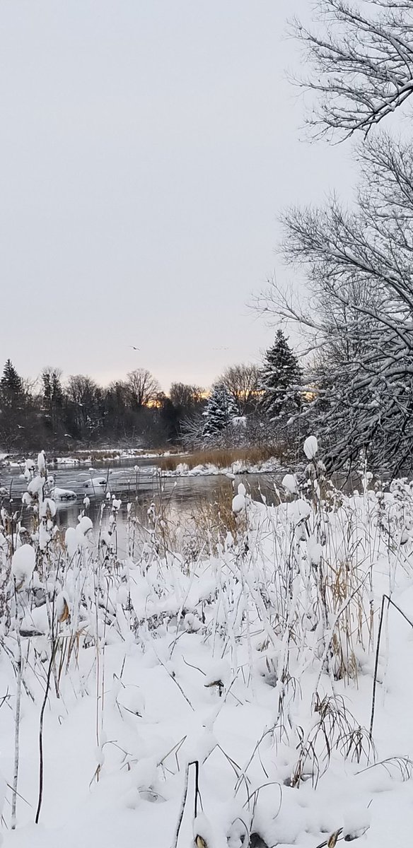 Good morning to all who are still here!