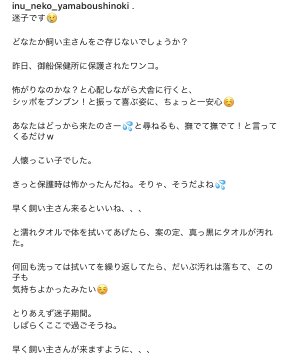 熊本県の迷い犬一覧 Find My Pet