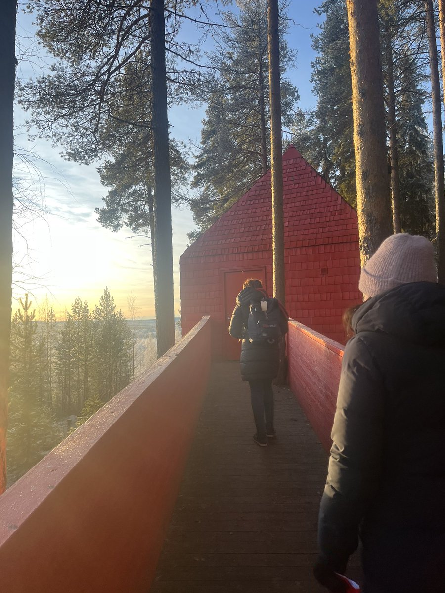 goldennotebook's tweet photo. Sometimes you just need to tuck yourself away in the arctic treetops for a while. Day 1 of my #Lapland yoga retreat with @reclaimyourself #wintering #selfcare #yoga #yogaretreat #sweden #arctic #treehotel @treehotel https://t.co/41QYsABXm6