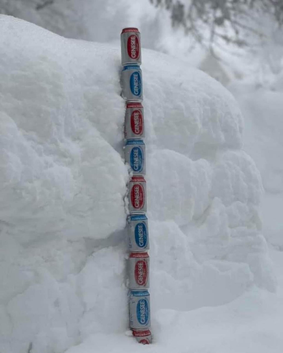 Roy Gregory tweet media