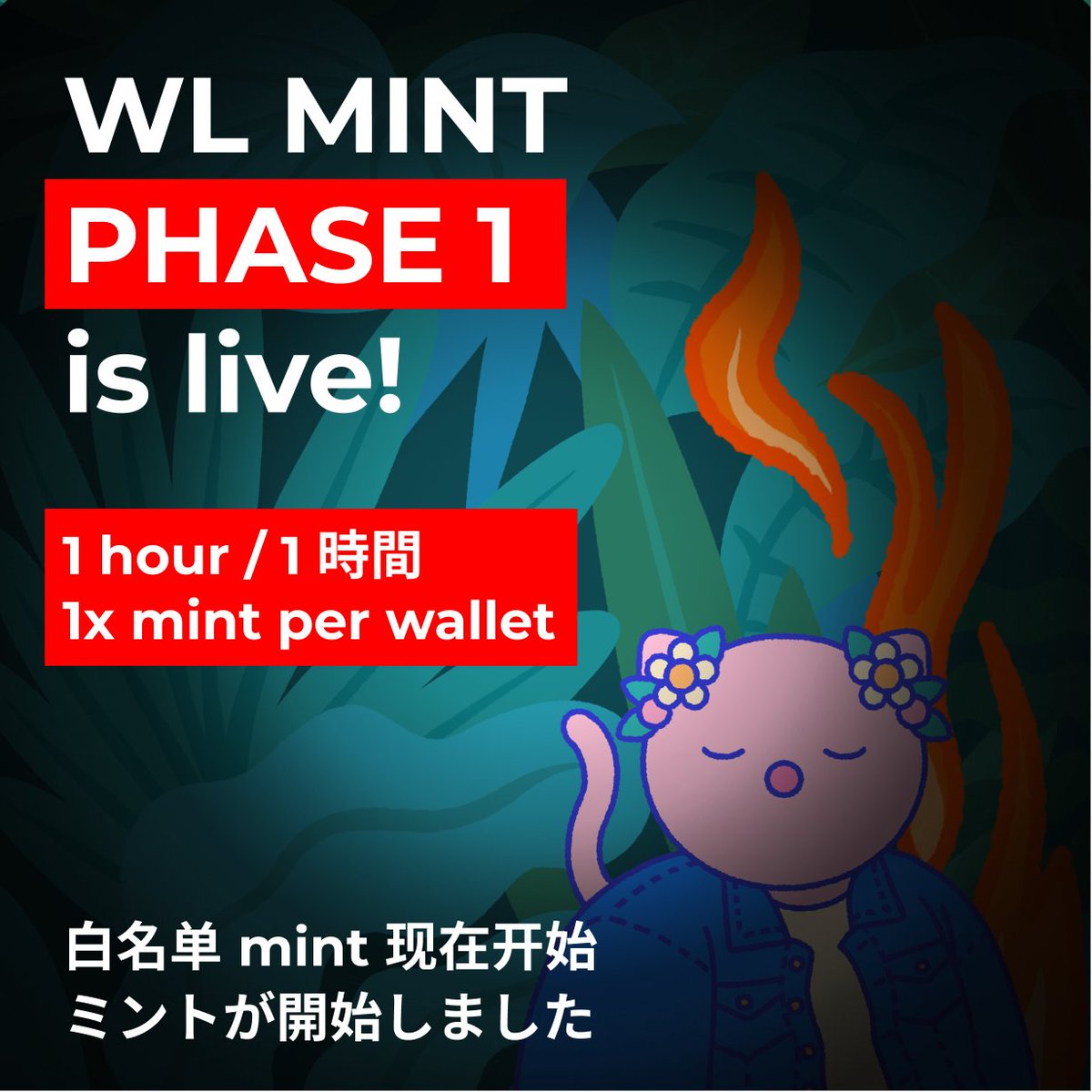 WL Mint PHASE 1 is now live!
All WL'd addresses are in PHASE 1

👉 ayahuascacats.io
👉 ayahuascacats.io
👉 ayahuascacats.io

1 HOUR ⏰ 1 小时 1 時間
1x mint per wallet

After 1 hour, WL PHASE 2 begins 🔥
1 小时后 Phase 2 开始