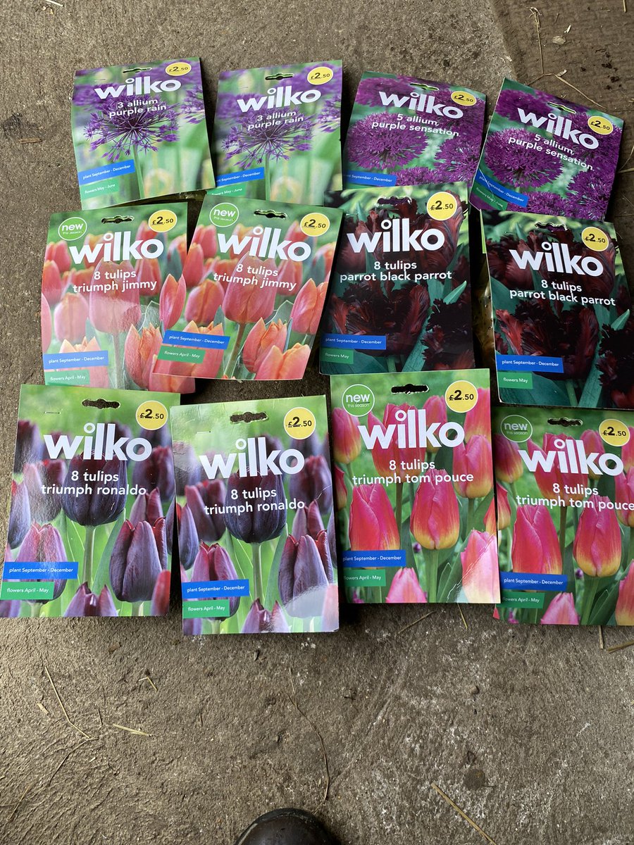 More bulb planting to do #gardening #bulbs