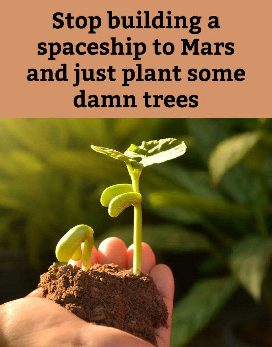 Ira Sycheva (@irtsuli) on Twitter photo 