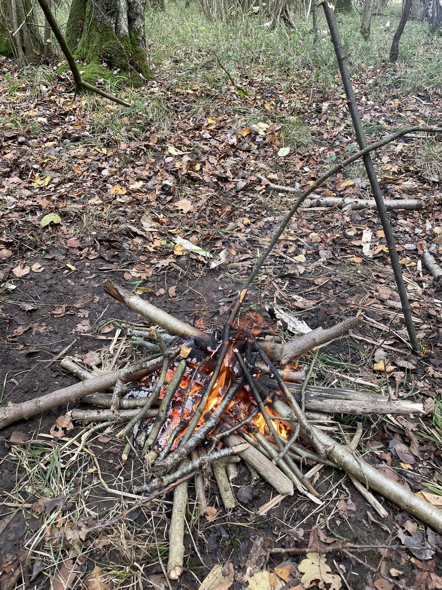 Josephine Sams tweet media