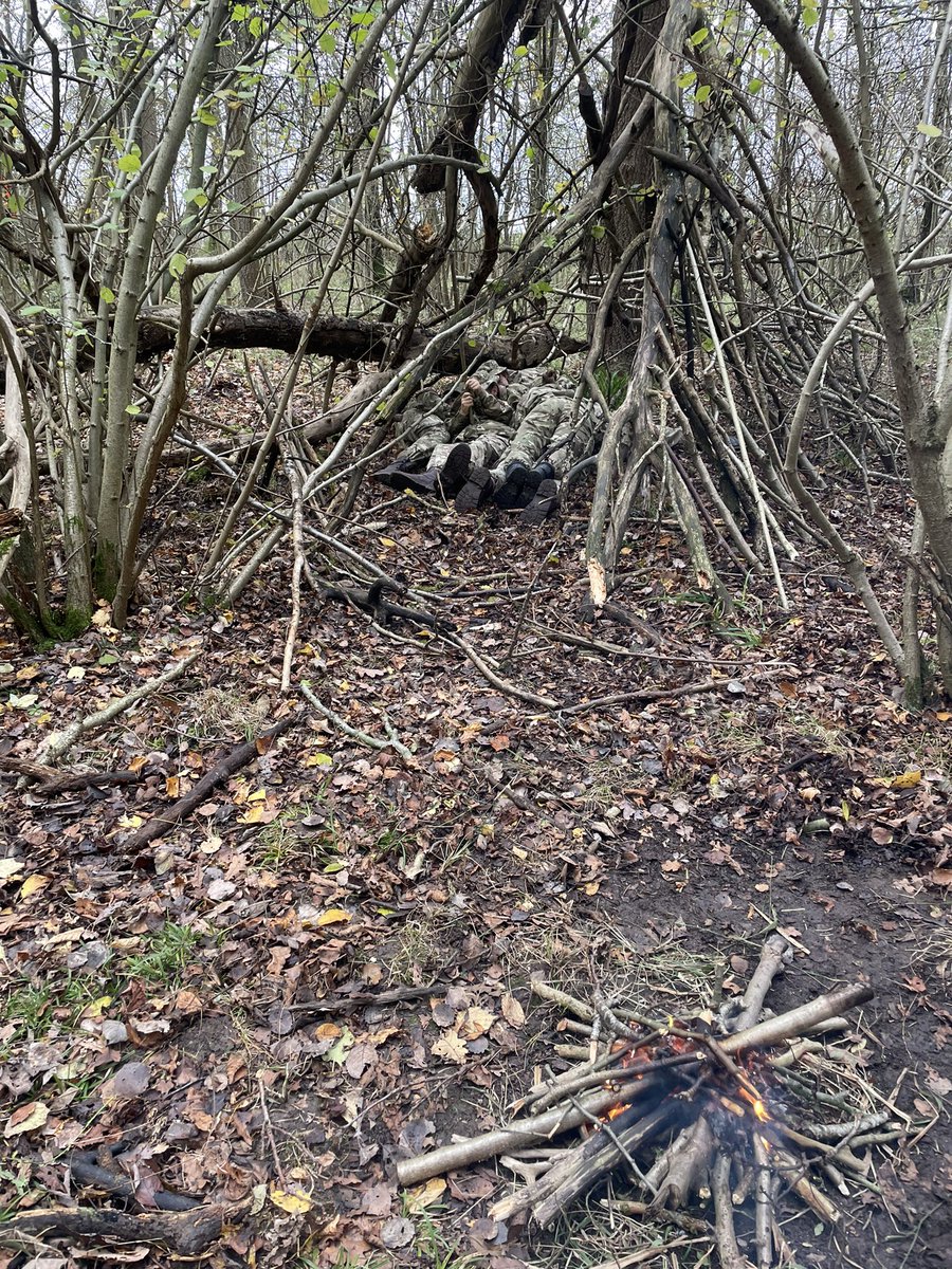 Josephine Sams tweet media