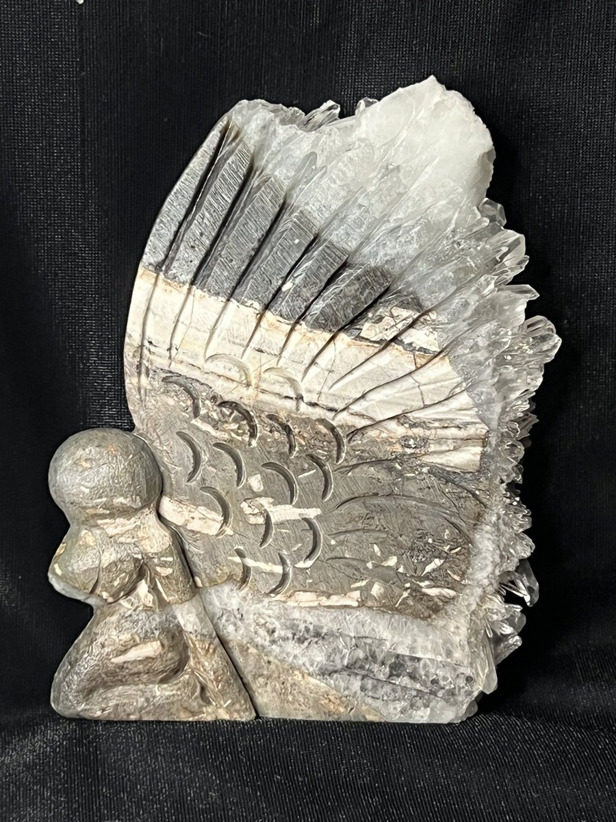 Buried Treasures and Crystals LLC tweet media