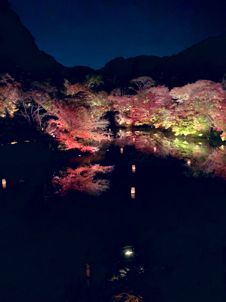 今年も御船山行ってきました。
最近ツイート全くしてなかったから、またこまめにツイートしてこ。