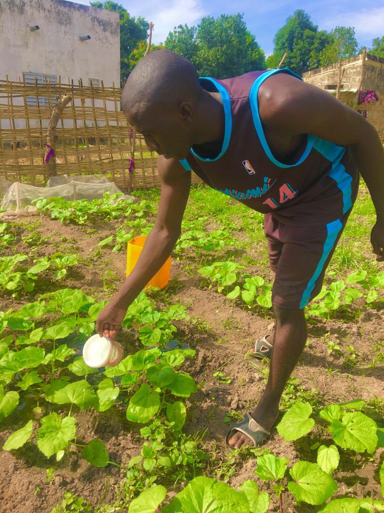 assanedemba1's tweet photo. Après mes #études me voici s’adonné au #maraîchage.
On dit souvent que la #terre ne mente pas,je suis d’accord avec cette thèse de nos brave #cultivateurs.
#kebetu
@Yasmina12727232
@2024Senegal
@Maxipyn
@pudcsenegal
@Publicheikh
@jalybadiane
@samboubodian
@green_sedhiou
@CasaBio2 https://t.co/tY2V8hEWyZ