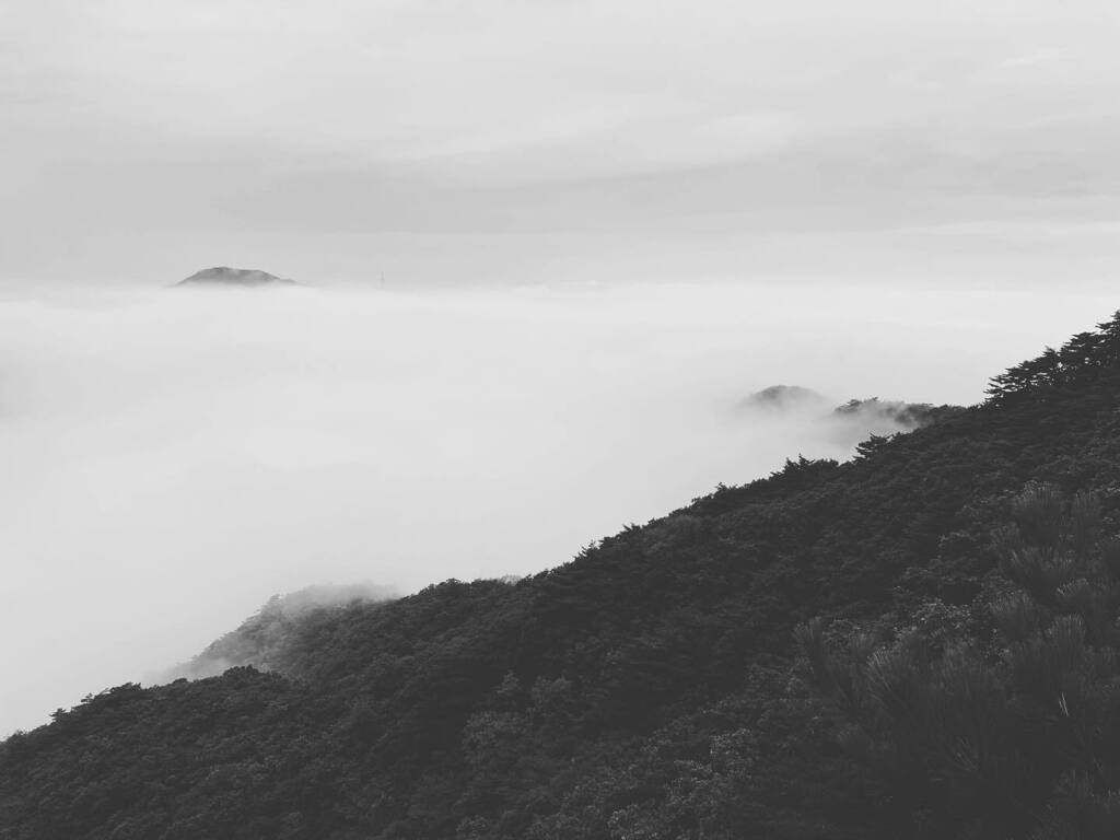 jeffkym's tweet photo. #island 

#fieldrecordingartist https://t.co/zo61Gd5qhX