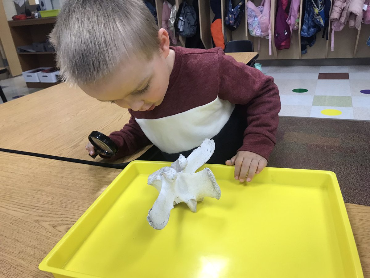 Bridgette Fullington tweet media