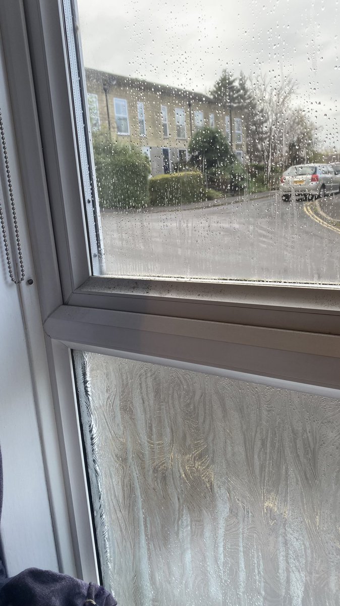 Alice Davies tweet media